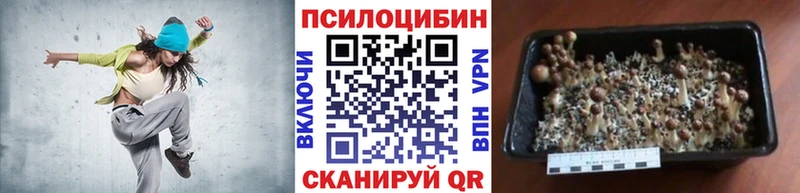 Галлюциногенные грибы MAGIC MUSHROOMS  МЕГА вход  Новотроицк  купить наркотики сайты 
